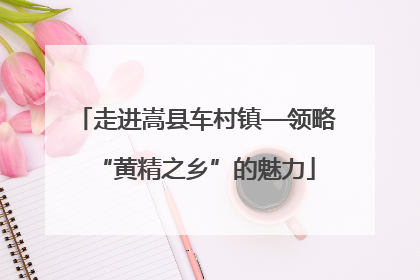 走进嵩县车村镇—领略“黄精之乡”的魅力