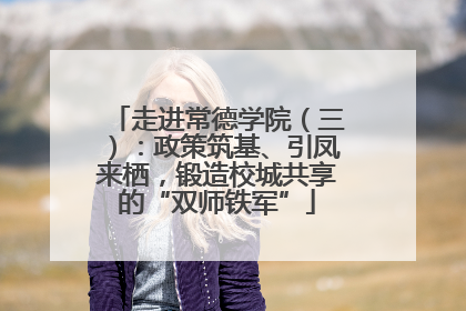 走进常德学院（三）：政策筑基、引凤来栖，锻造校城共享的“双师铁军”