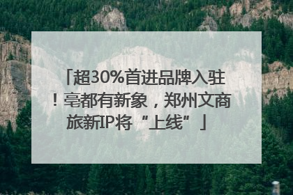 超30%首进品牌入驻！亳都有新象，郑州文商旅新IP将“上线”