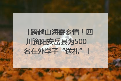 跨越山海寄乡情！四川资阳安岳县为500名在外学子“送礼”
