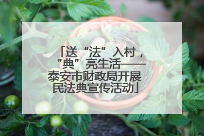 送“法”入村，“典”亮生活——泰安市财政局开展民法典宣传活动