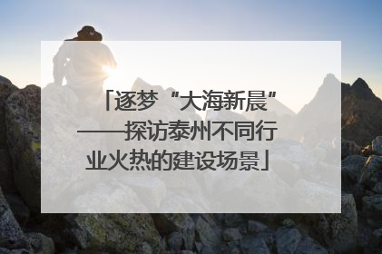 逐梦“大海新晨”——探访泰州不同行业火热的建设场景