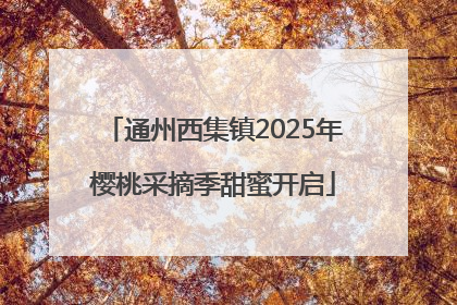 通州西集镇2025年樱桃采摘季甜蜜开启