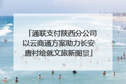 通联支付陕西分公司以云商通方案助力长安唐村绘就文旅新图景
