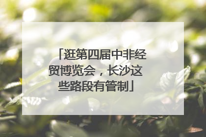 逛第四届中非经贸博览会，长沙这些路段有管制