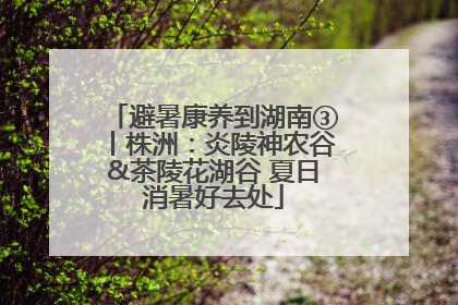 避暑康养到湖南③丨株洲：炎陵神农谷&茶陵花湖谷 夏日消暑好去处