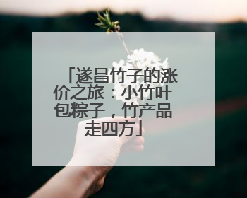 遂昌竹子的涨价之旅：小竹叶包粽子，竹产品走四方
