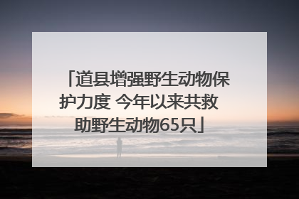 道县增强野生动物保护力度 今年以来共救助野生动物65只