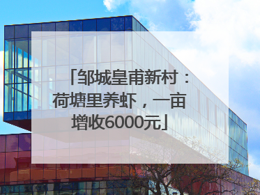 邹城皇甫新村：荷塘里养虾，一亩增收6000元
