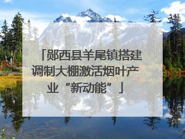 郧西县羊尾镇搭建调制大棚激活烟叶产业“新动能”