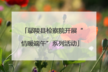 鄢陵县检察院开展“情暖端午”系列活动