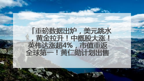 重磅数据出炉，美元跳水，黄金拉升！中概股大涨！英伟达涨超4%，市值重返全球第一！黄仁勋计划出售至多600万股股票