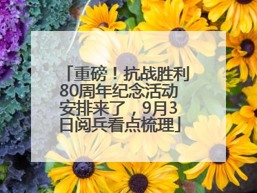 重磅！抗战胜利80周年纪念活动安排来了，9月3日阅兵看点梳理