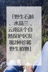 野生石斛、水晶兰，云南这个自然保护区发现2种珍稀野生植物