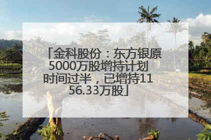 金科股份：东方银原5000万股增持计划时间过半，已增持1156.33万股