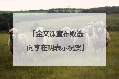 金文洙宣布败选 向李在明表示祝贺