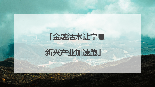 金融活水让宁夏新兴产业加速跑