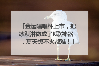 金运唱唱杯上市，把冰淇淋做成了K歌神器，夏天想不火都难！