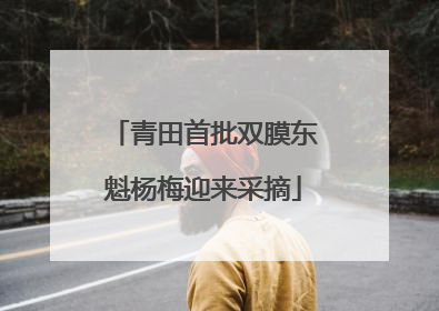 青田首批双膜东魁杨梅迎来采摘