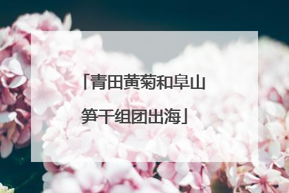 青田黄菊和阜山笋干组团出海