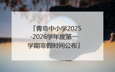 青岛中小学2025-2026学年度第一学期寒假时间公布