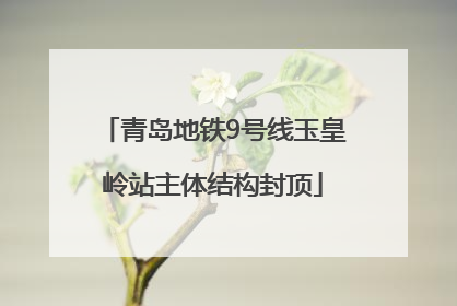 青岛地铁9号线玉皇岭站主体结构封顶