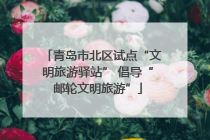 青岛市北区试点“文明旅游驿站” 倡导“邮轮文明旅游”