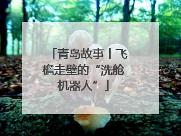 青岛故事丨飞檐走壁的“洗舱机器人”