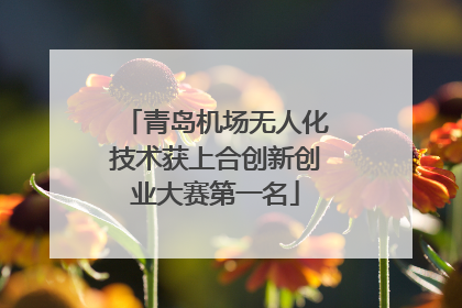 青岛机场无人化技术获上合创新创业大赛第一名