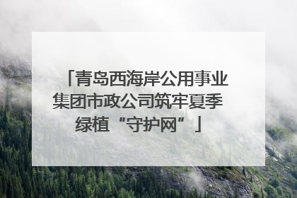 青岛西海岸公用事业集团市政公司筑牢夏季绿植“守护网”