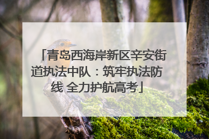 青岛西海岸新区辛安街道执法中队：筑牢执法防线 全力护航高考
