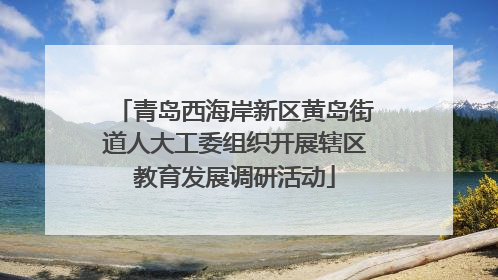 青岛西海岸新区黄岛街道人大工委组织开展辖区教育发展调研活动