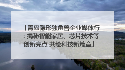 青岛隐形独角兽企业媒体行：揭秘智能家居、芯片技术等创新亮点 共绘科技新篇章