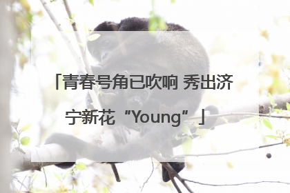 青春号角已吹响 秀出济宁新花“Young”