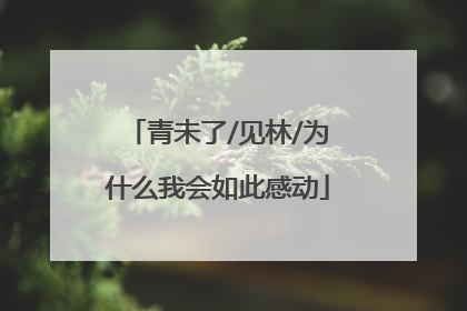青未了/见林/为什么我会如此感动