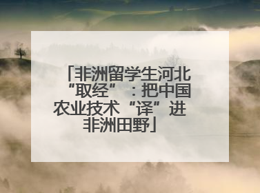 非洲留学生河北“取经”：把中国农业技术“译”进非洲田野