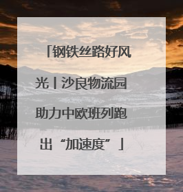 钢铁丝路好风光丨沙良物流园助力中欧班列跑出“加速度”