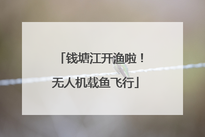 钱塘江开渔啦！无人机载鱼飞行