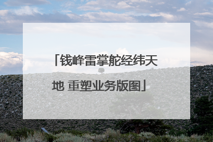 钱峰雷掌舵经纬天地 重塑业务版图