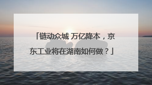 链动众城 万亿降本，京东工业将在湖南如何做？