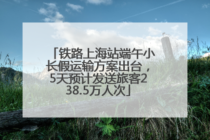 铁路上海站端午小长假运输方案出台，5天预计发送旅客238.5万人次