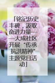 铭记历史丰碑，汲取奋进力量——大成社区开展“传承抗洪精神”主题党日活动