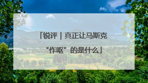 锐评｜真正让马斯克“作呕”的是什么