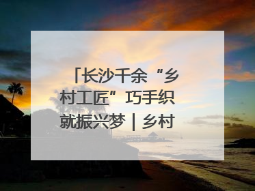 长沙千余“乡村工匠”巧手织就振兴梦｜乡村行·看振兴
