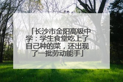 长沙市金阳高级中学：学生食堂吃上了自己种的菜，还出现了一批劳动能手