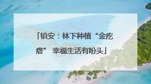 镇安：林下种植“金疙瘩” 幸福生活有盼头