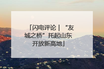 闪电评论｜“友城之桥”托起山东开放新高地
