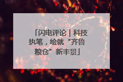 闪电评论｜科技执笔，绘就“齐鲁粮仓”新丰景
