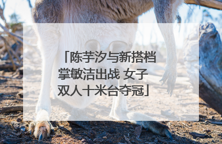 陈芋汐与新搭档掌敏洁出战 女子双人十米台夺冠