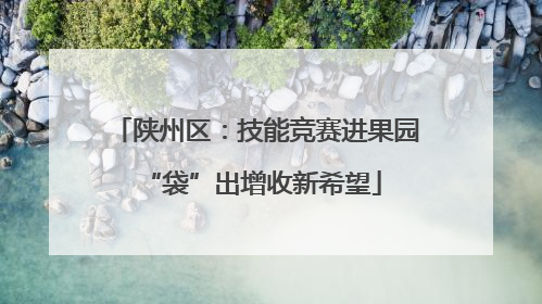 陕州区：技能竞赛进果园 “袋”出增收新希望